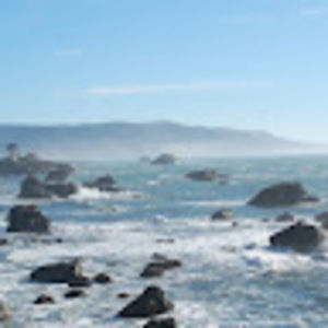 Meet your Posher, Richard